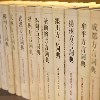 现代汉语方言大词典.jpg